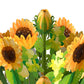 Mother's Day Sunflower Hummingbird Pop-Up Card & Bouquet Bundle