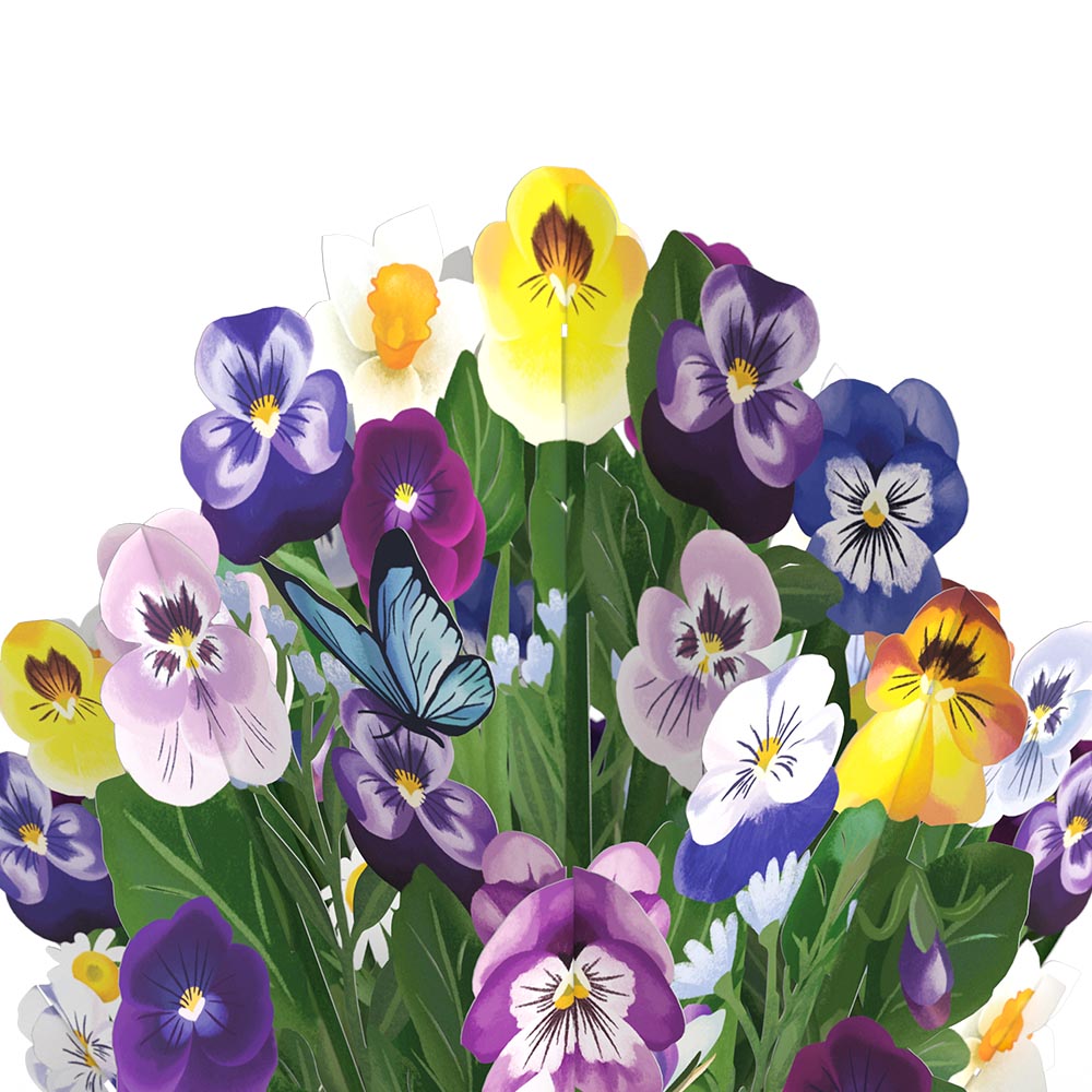 Pansy Bouquet – Lovepop