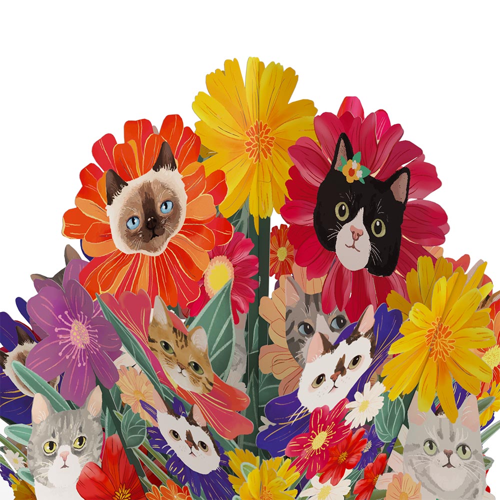 Purr-fect Cat Bouquet