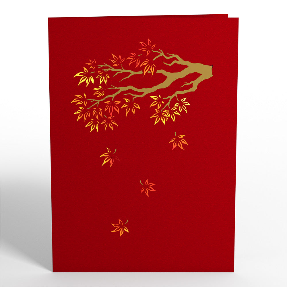 Sugar Maple Tree Pop-Up Card – Lovepop