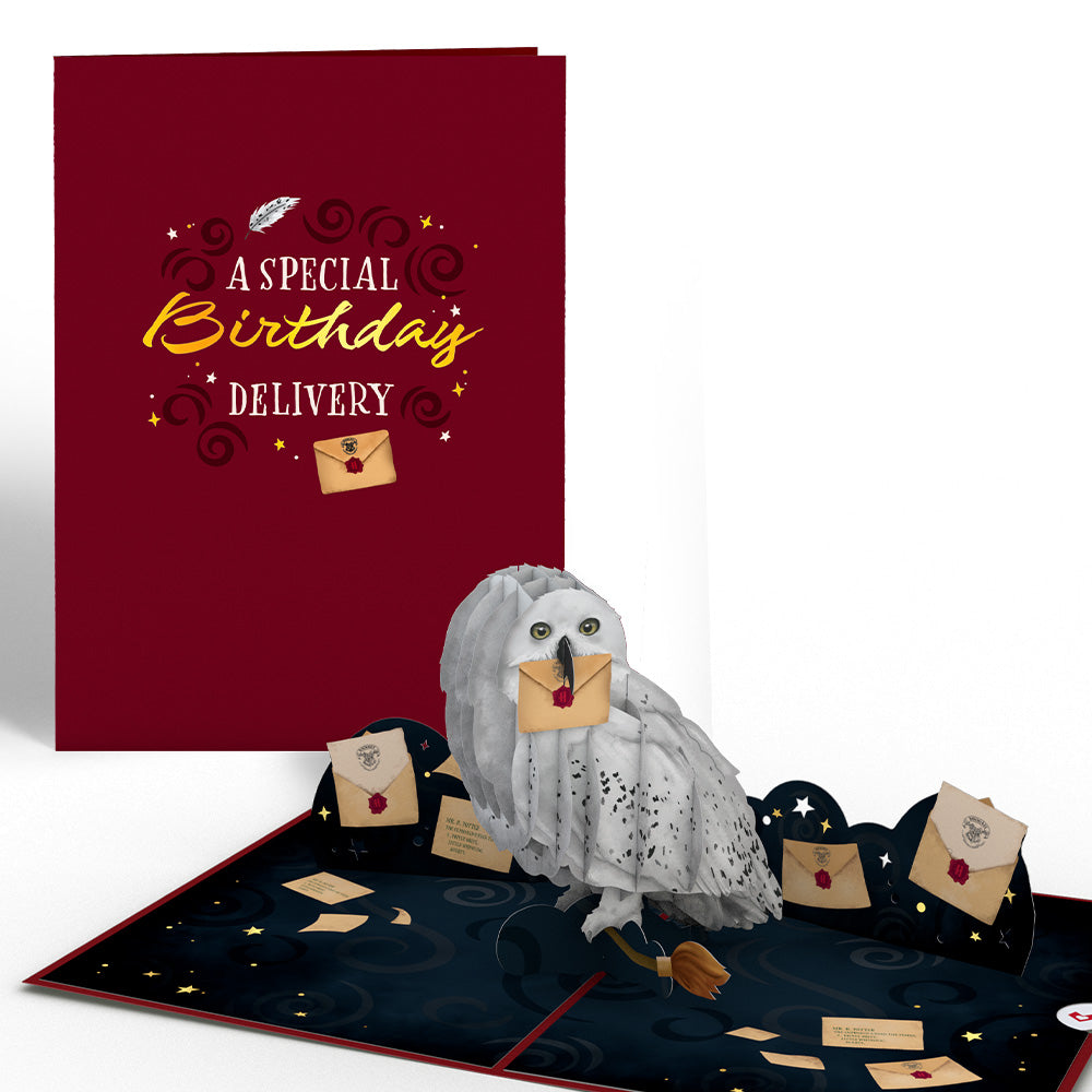 Harry Potter™ Hedwig™ Birthday Delivery Pop-Up Card