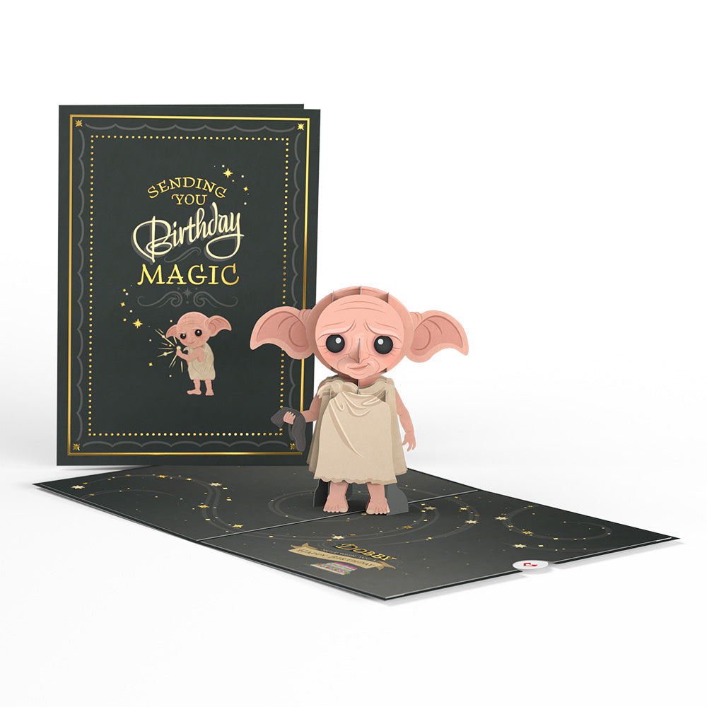 Harry Potter™ Dobby™ Birthday Pop-Up Card & Flower Buds Bouquet Bundle