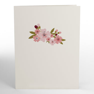 Cherry Blossom Thank You Box Set (12-Pack): Paperpop® Card