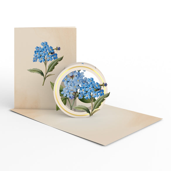 Beautiful Botanicals Box Set (Assorted 12-Pack): Paperpop® Card