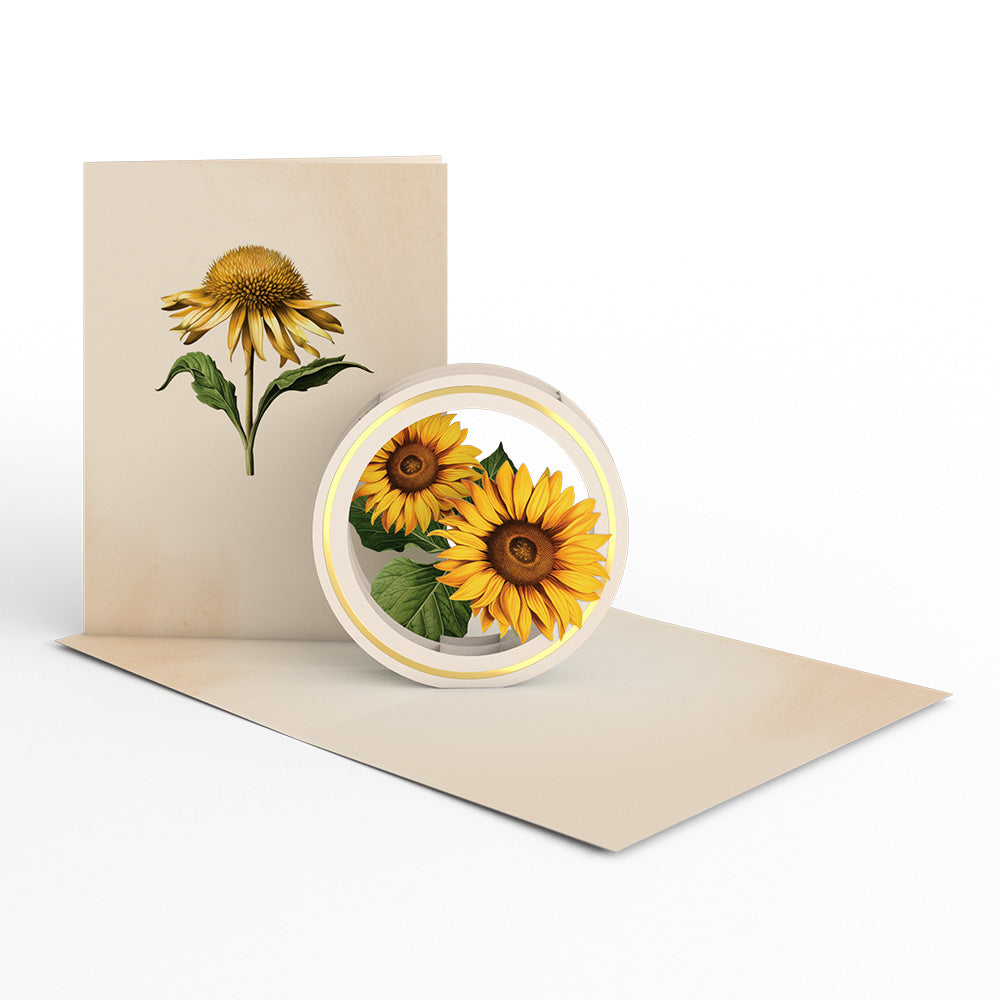 Beautiful Botanicals Box Set (Assorted 12-Pack): Paperpop® Card