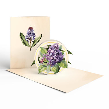 Beautiful Botanicals Box Set (Assorted 12-Pack): Paperpop® Card