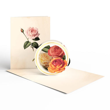 Beautiful Botanicals Box Set (Assorted 12-Pack): Paperpop® Card