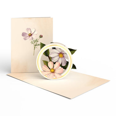 Beautiful Botanicals Box Set (Assorted 12-Pack): Paperpop® Card