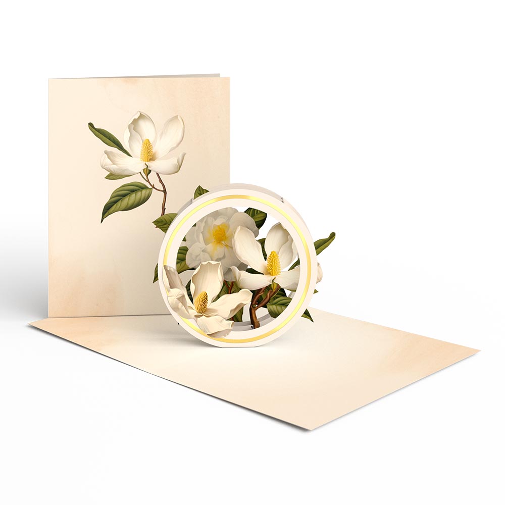 Beautiful Botanicals Box Set (Assorted 12-Pack): Paperpop® Card