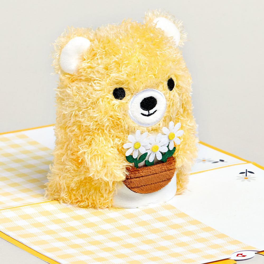 Daisy Greetings Plushpop Card and Bouquet Bundle