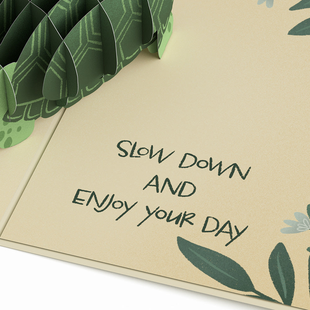 Shell-ebrate Birthday Turtle Pop-Up Card