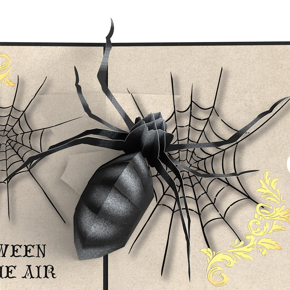 Beware Halloween Spider Pop-Up Card