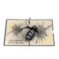 Beware Halloween Spider Pop-Up Card