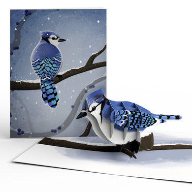 Winter Bird Box Set (Assorted 12-Pack): Paperpop® Card