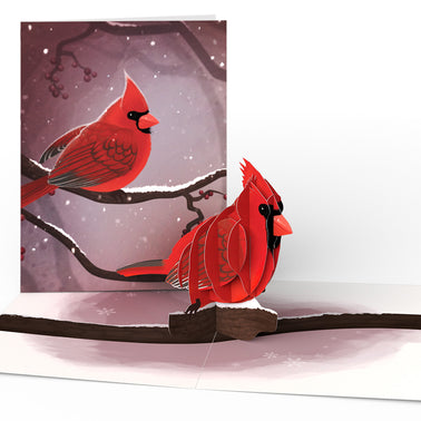 Winter Bird Box Set (Assorted 12-Pack): Paperpop® Card