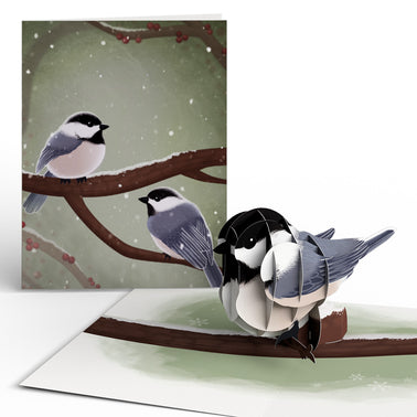 Winter Bird Box Set (Assorted 12-Pack): Paperpop® Card