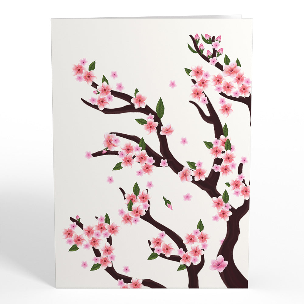 Cherry Blossom Branches in Bloom Pop-Up Card