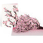 Cherry Blossom Branches in Bloom Pop-Up Card