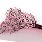 Cherry Blossom Branches in Bloom Pop-Up Card