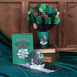 Harry Potter™ Slytherin™ Birthday Bundle – Lovepop