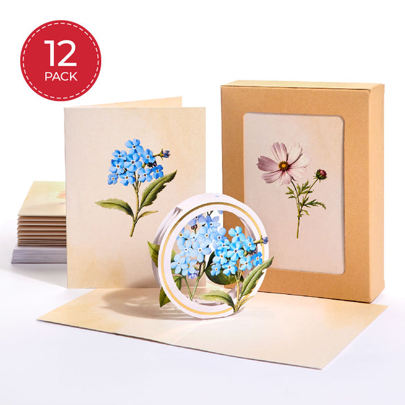 Beautiful Botanicals Box Set (Assorted 12-Pack): Paperpop® Card