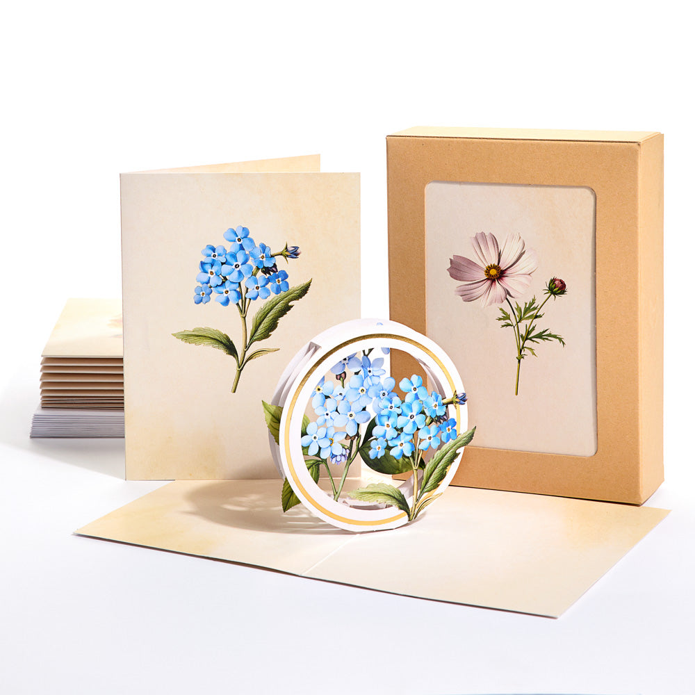 Beautiful Botanicals Box Set (Assorted 12-Pack): Paperpop® Card