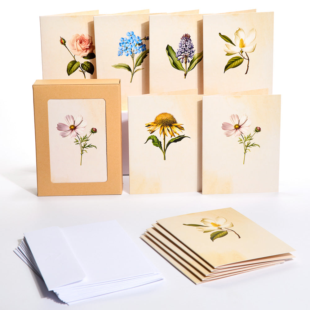 Beautiful Botanicals Box Set (Assorted 12-Pack): Paperpop® Card