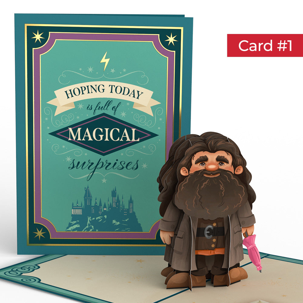 Harry Potter™ Magical Birthday Surprises 4-in-1 Nesting Card