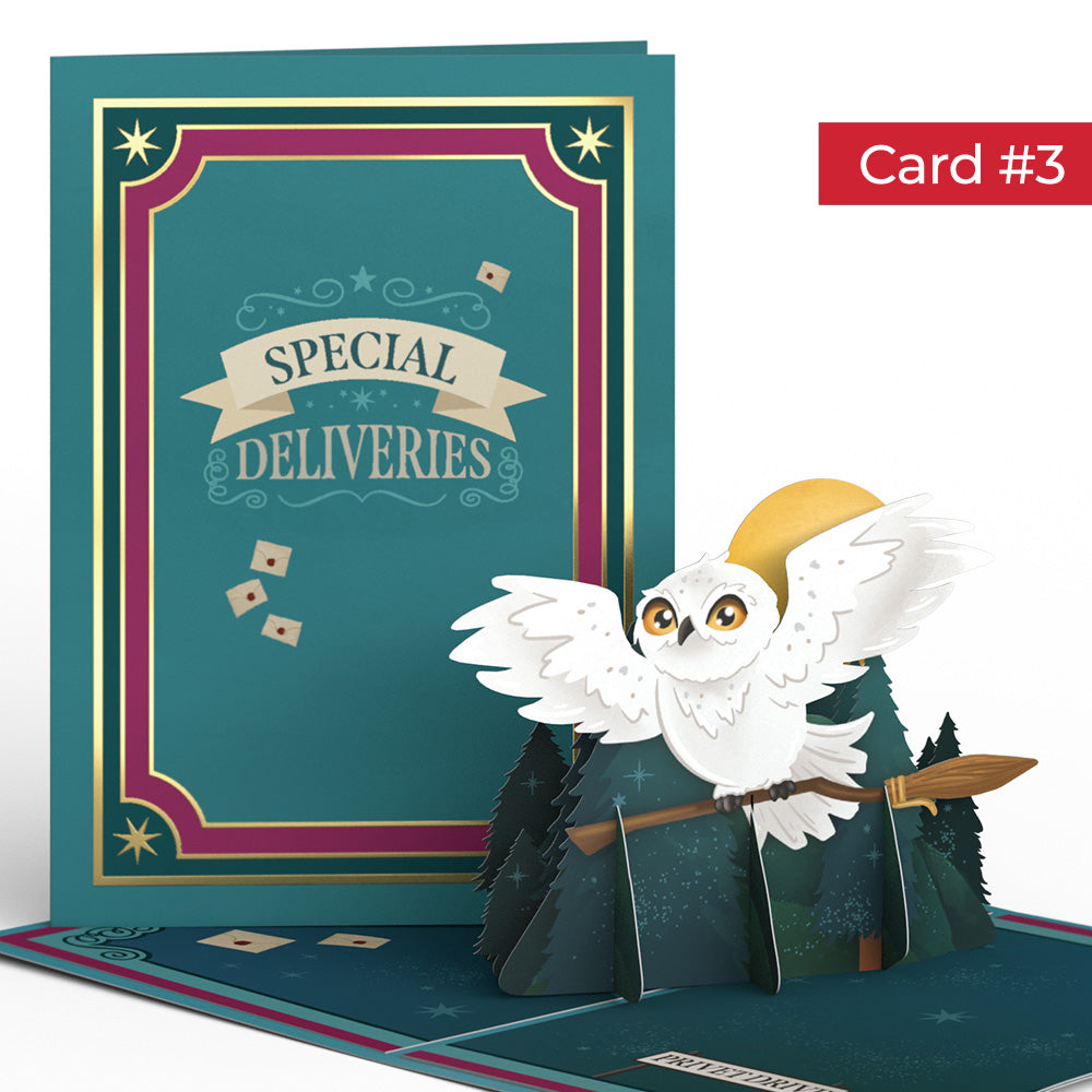 Harry Potter™ Magical Birthday Surprises 4-in-1 Nesting Card