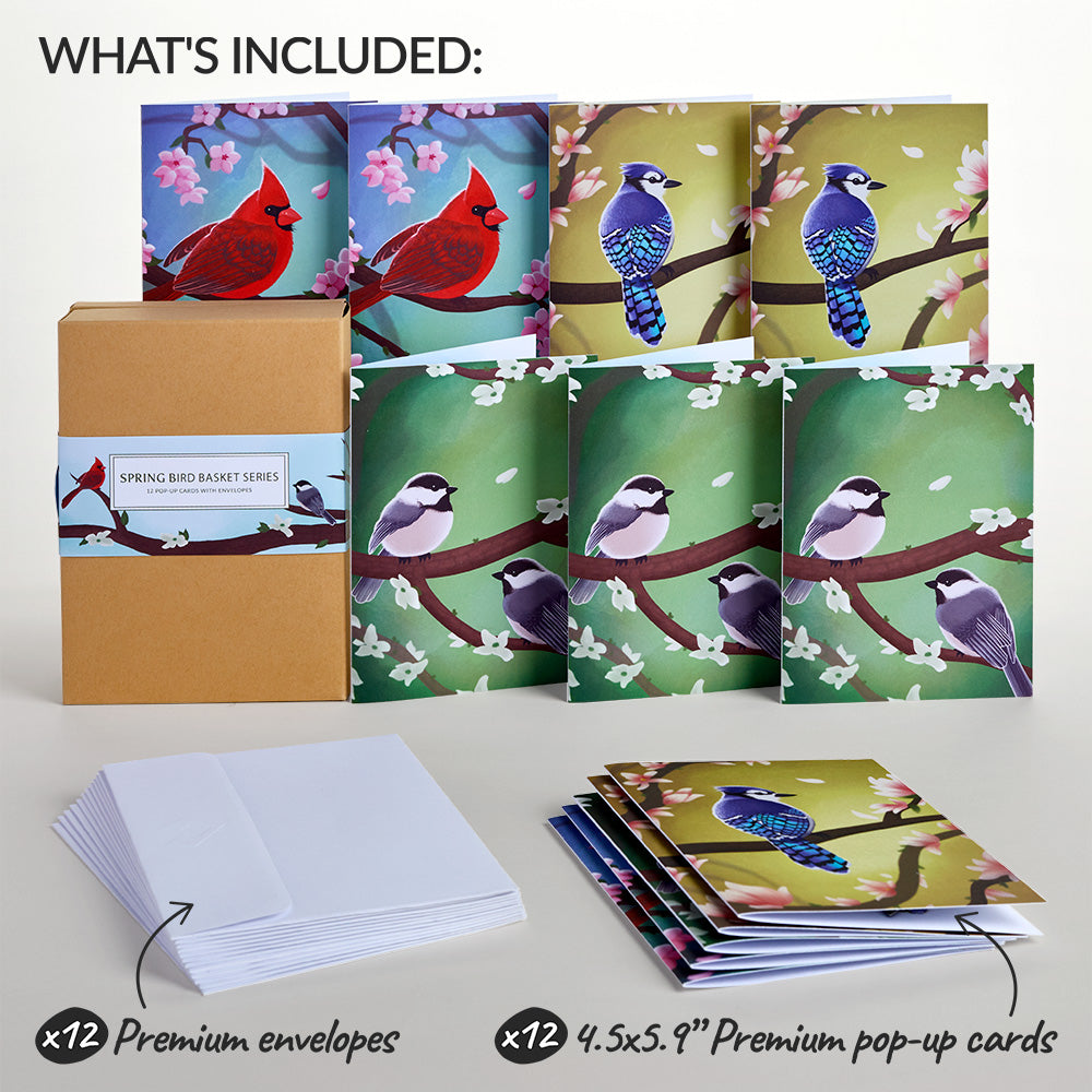 Spring Birds Box Set (Assorted 12-Pack): Paperpop® Card