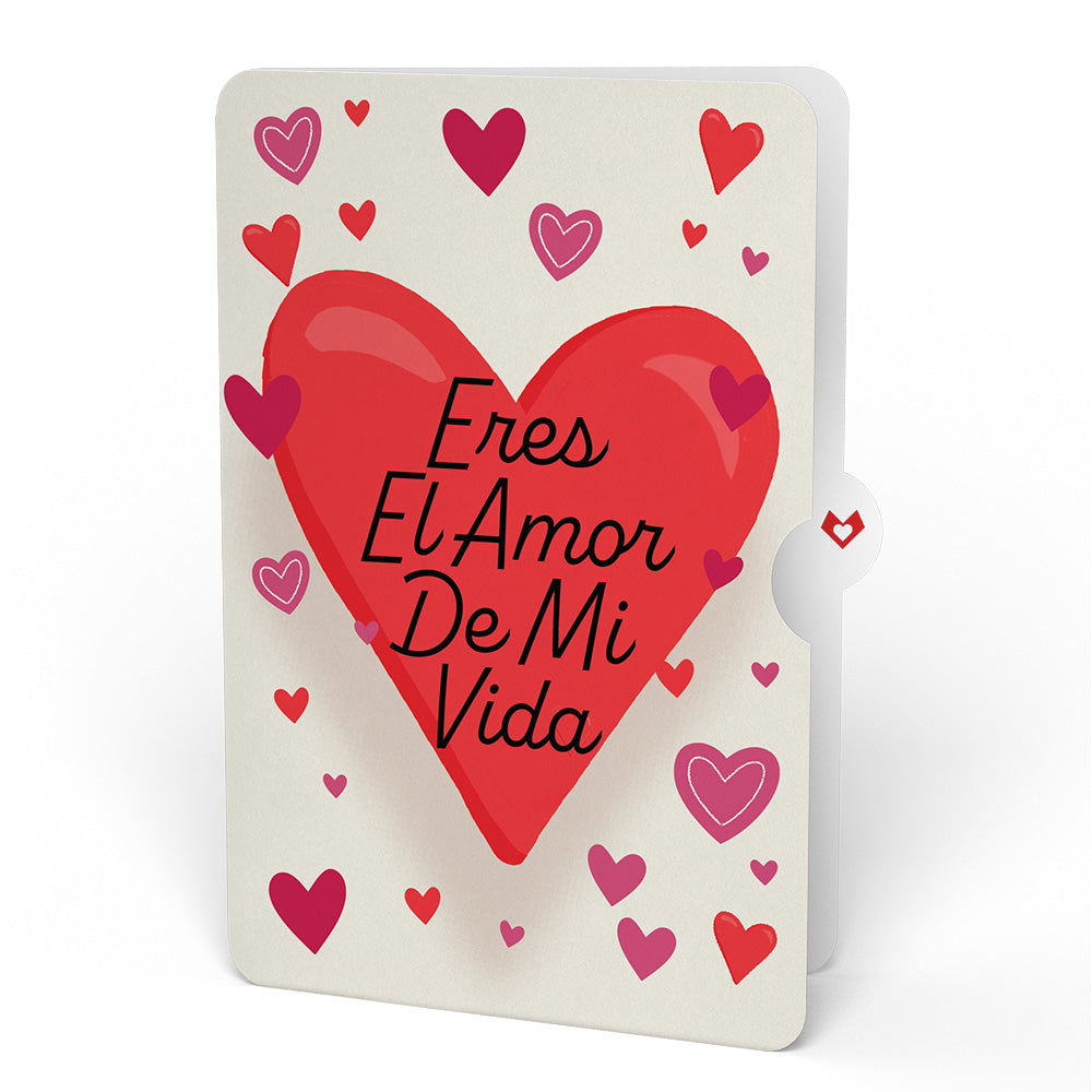 You're The Beary Best Eres El Amor De Mi Vida Valentine Plushpop Card and Sentiment Set