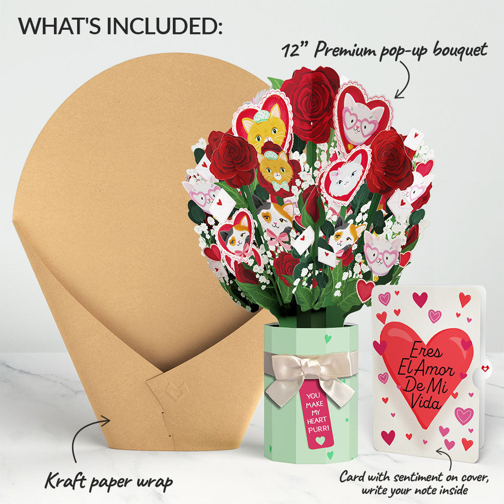 You Make My Heart Purr Cat Eres El Amor De Mi Vida Valentine Bouquet and Sentiment Set