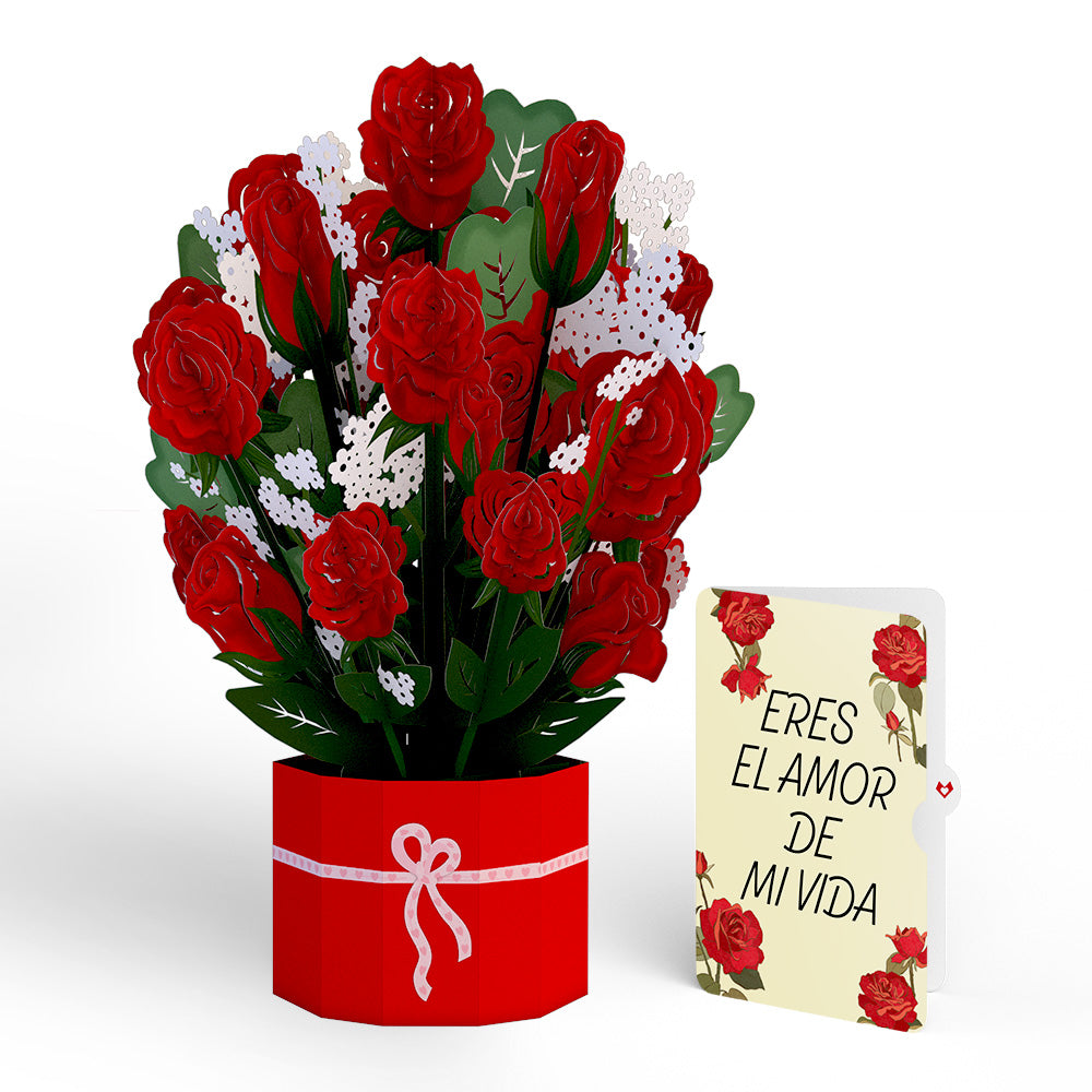 Red Rose Eres El Amor De Mi Vida Valentine Grand Bouquet and Sentiment Set