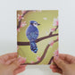 Spring Birds Box Set (Assorted 12-Pack): Paperpop® Card