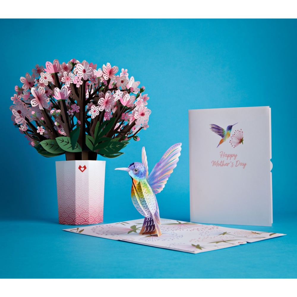 Mother's Day Hummingbird Bundle