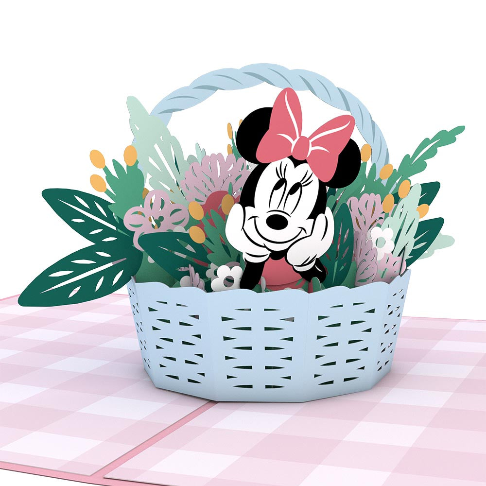 Fashion basket minnie