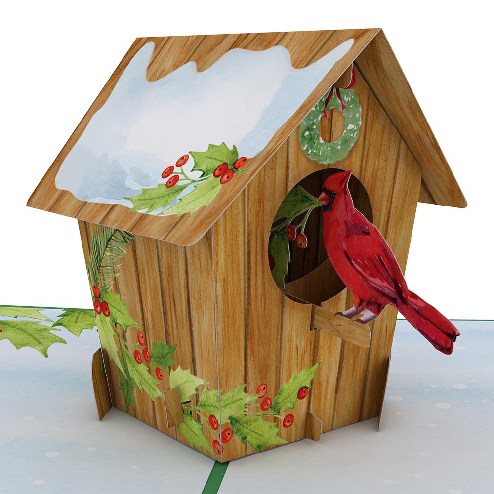 Cardinal bird deals house