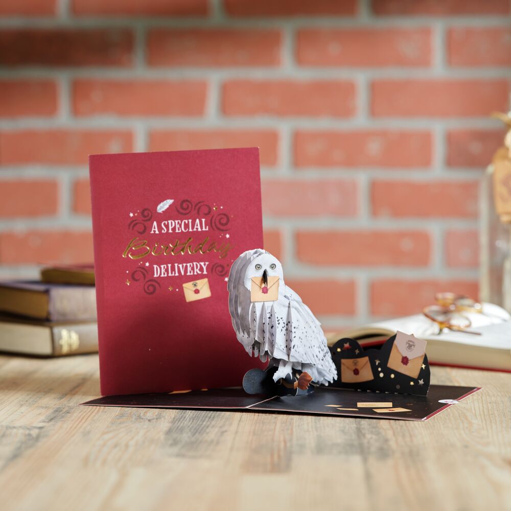 Harry Potter™ Hedwig™ Birthday Delivery Pop-Up Card