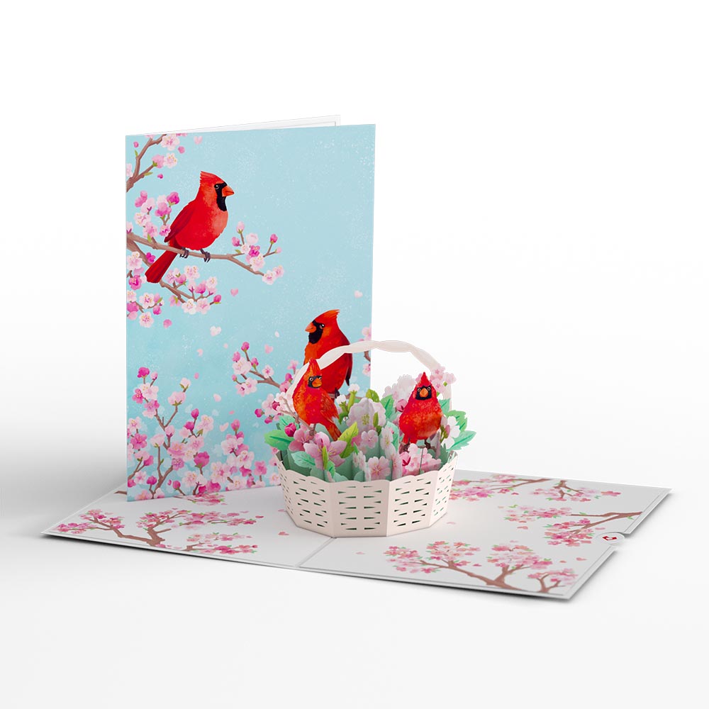 Just Because Cards, Greeting Cards For All Occasions – Lovepop