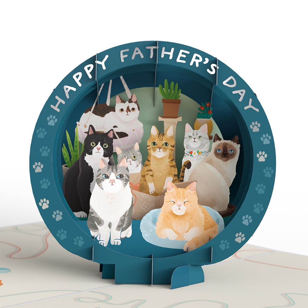 Cat fathers shops day