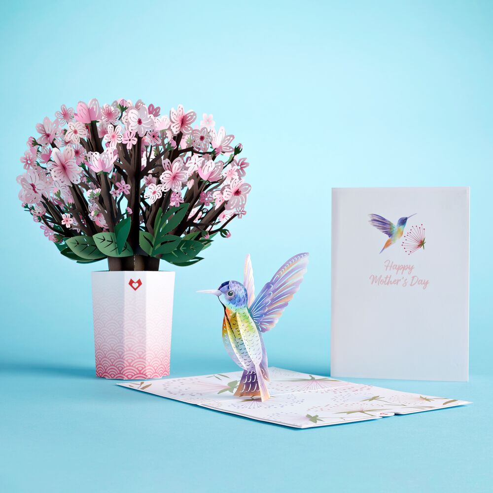 Mother's Day Hummingbird Bundle