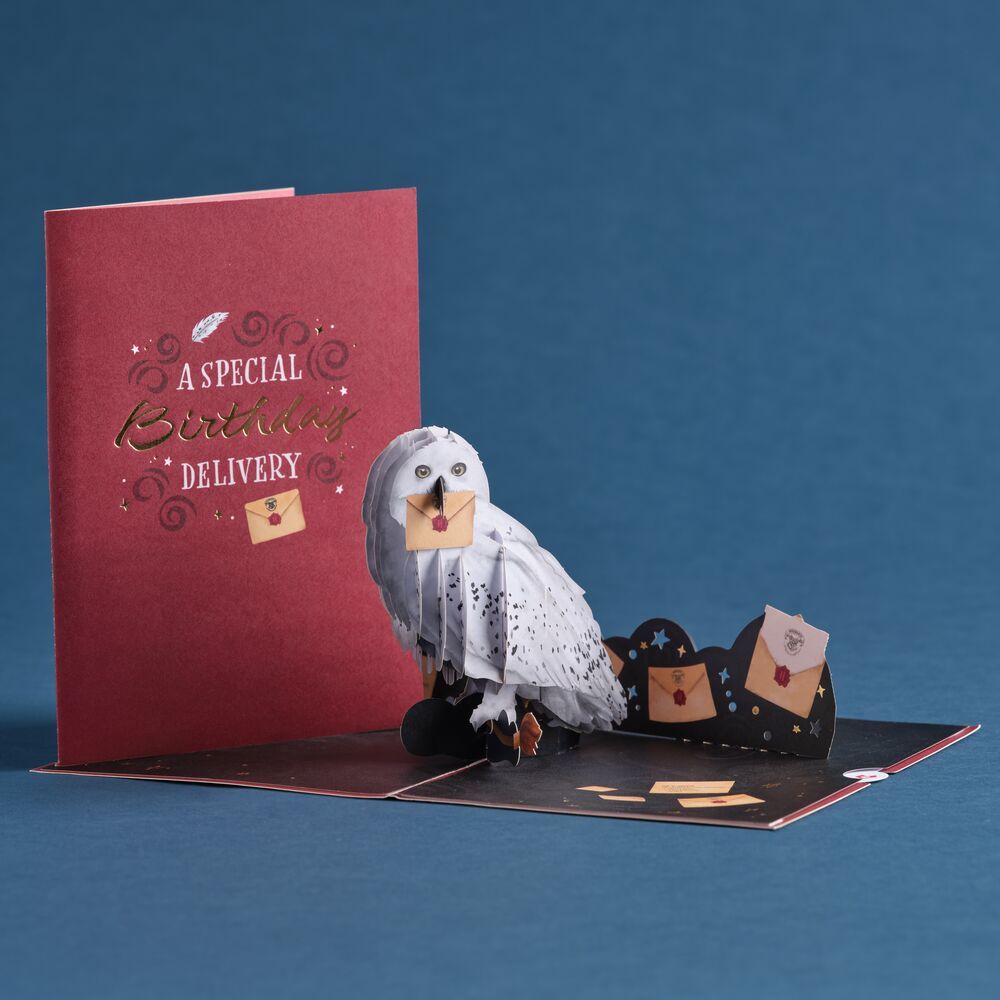 Harry Potter Hedwig Birthday Delivery Pop Up Card Lovepop