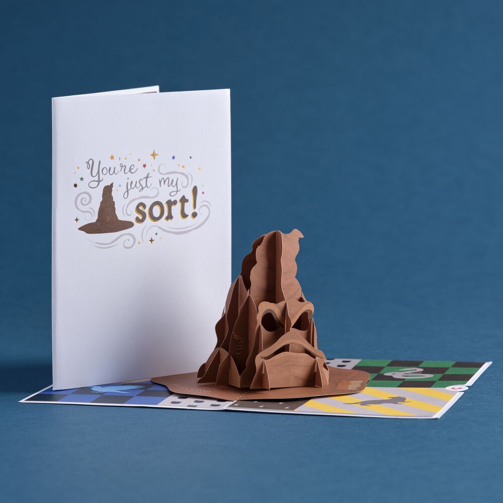 Harry Potter You're Just My Sort Pop-Up Card – Lovepop