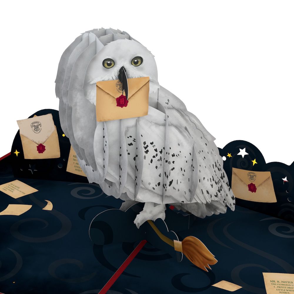 Harry Potter™ Hedwig™ Birthday Delivery Pop-Up Card