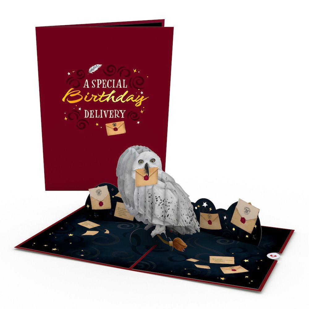 Harry Potter Hedwig Birthday Delivery Pop Up Card Lovepop